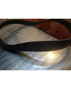Correia de transmissão para passadeira com 8 nervuras 161J, 100,8 cm, 8PJ-1008